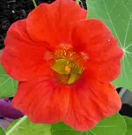001.webp