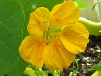 001.webp