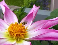 008.webp