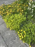 IMG_0380.JPEG