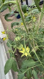 IMG_4650.jpeg