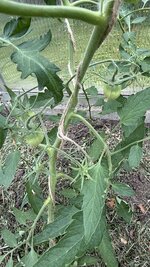 IMG_4652.jpeg