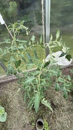 IMG_4653.jpeg