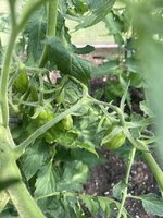 IMG_8948.jpeg