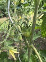 IMG_8946.jpeg