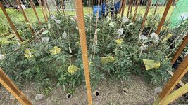 IMG_4656.jpeg