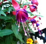 017.webp