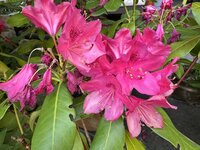IMG_7039.jpeg