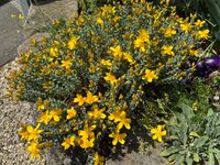 IMG_6912.jpeg