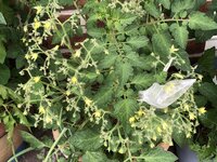 IMG_0611.jpeg