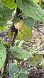 IMG_4665.jpeg