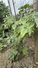 IMG_4664.jpeg