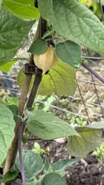 IMG_4665.jpeg