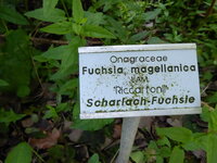 P1080264.JPG