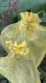 IMG_4685.jpeg