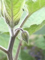 IMG_0610.jpeg