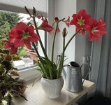 IMG_8849.jpeg
