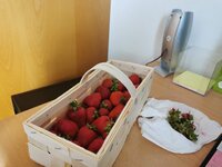 IMG_20250616_174504.jpg