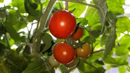 IMG_20250613_162024.webp