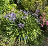 IMG_8853.jpeg