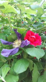 20250615_104359.jpg