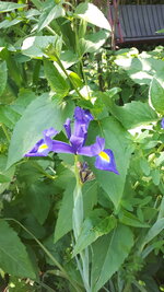 20250615_104321.jpg