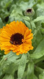 IMG_4705.jpeg