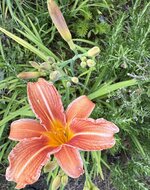 IMG_4708.jpeg