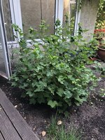 IMG_1659.jpeg