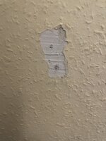 IMG_0526.jpeg