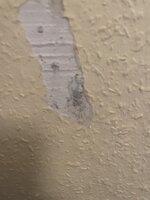 IMG_0528.jpeg
