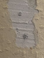 IMG_0527.jpeg