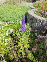 20250618_100358.webp