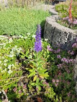 20250618_100358.jpg