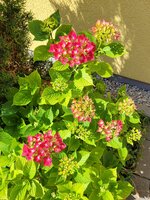 20250618_100250.jpg