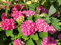 20250618_094813.jpg