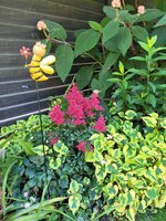 20250618_094747.jpg