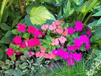 20250618_094805.webp
