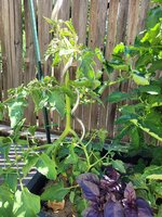20250618_095233.jpg