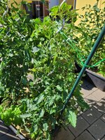20250618_095422.jpg