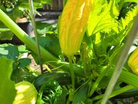 20250618_095058.jpg