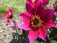 040.webp