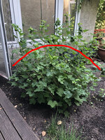 IMG_1659.jpeg