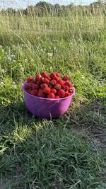 IMG_4716.jpeg