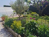 IMG_20250618_103746.jpg