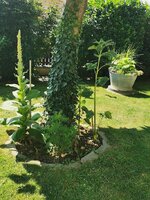 IMG_20250618_103925.jpg