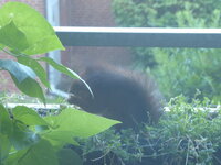 P1080201.JPG