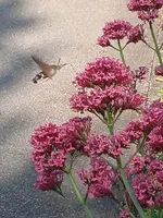 IMG_20250619_083005.webp