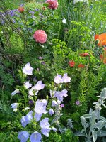 IMG_20250619_075009.jpg