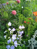 IMG_20250619_075009.jpg